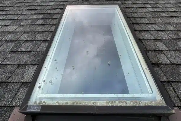 Window Cleaning in Tacoma WA gallery (4)