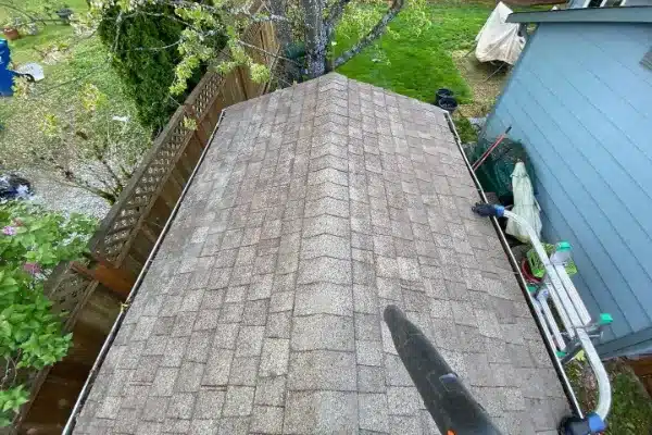 Roof Cleaning Tacoma WA